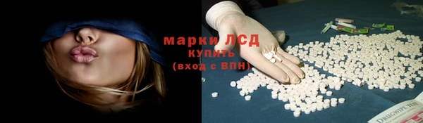 стафф Приозерск