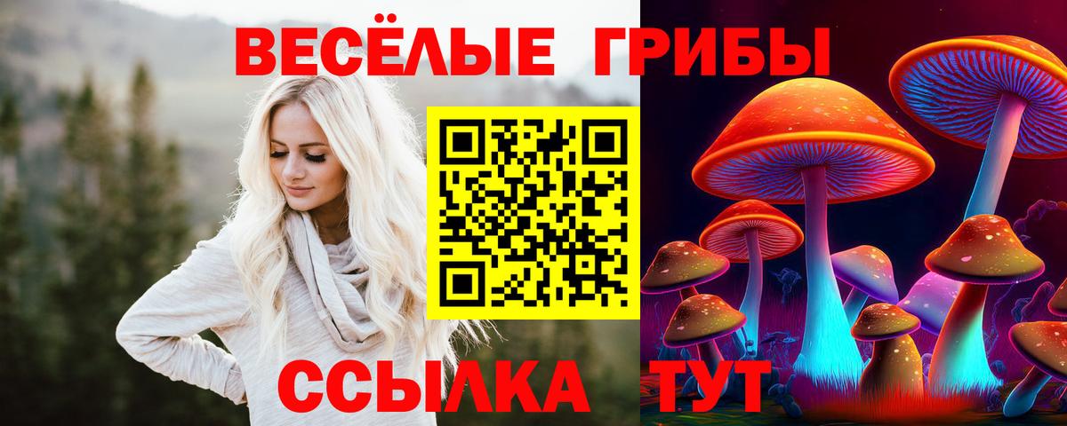 Галлюциногенные грибы Psilocybine cubensis  Вход с VPN  Сланцы 