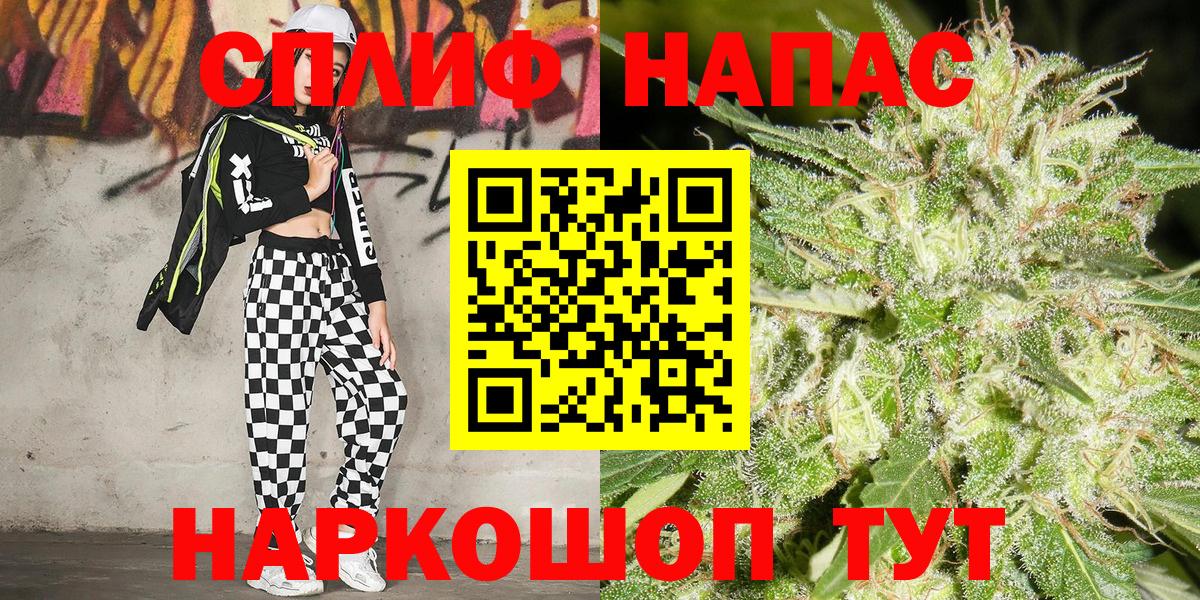 Канабис ГИДРОПОН  Канабис семена  Сланцы  Вход с VPN  Каннабис ГИДРОПОН 